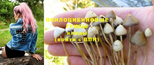 а пвп мука Белокуриха