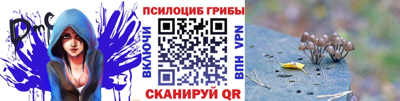 ссылка на мегу как зайти  Славгород  Галлюциногенные грибы мицелий 