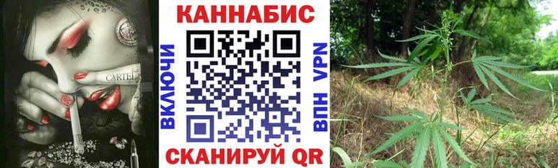 Бошки марихуана план  Славгород 